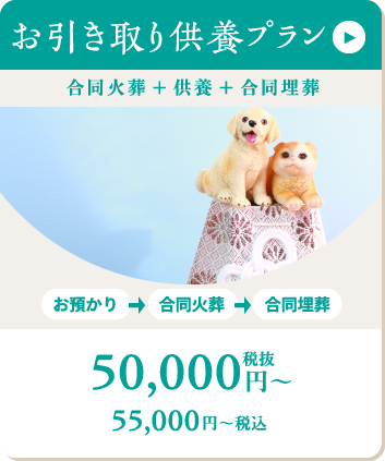 お引き取り供養プラン50000円から 詳細ページへ移動