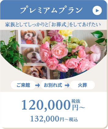 プレミアムプラン 120000円から