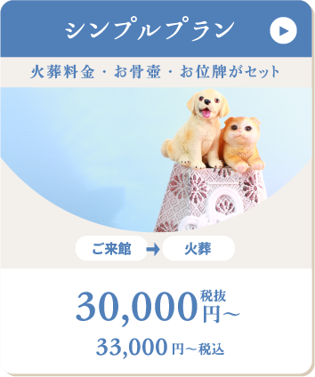 シンプルプラン 30000円から